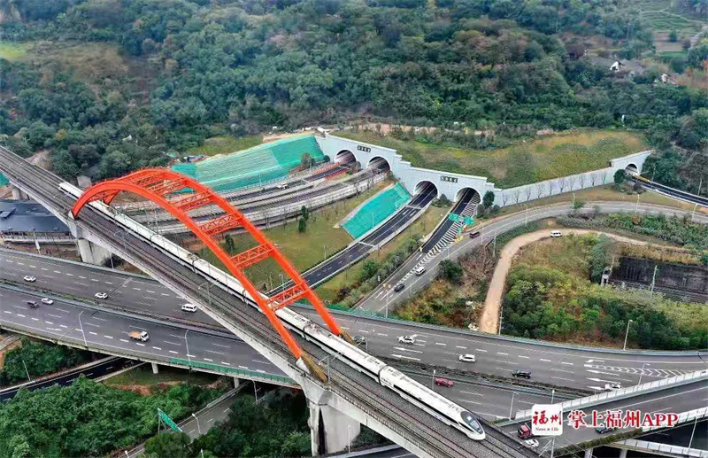 1716864874163536.jpg 8.jpg