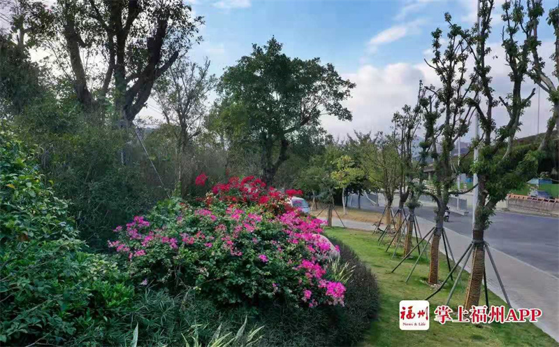 1716865041858400.jpg 12.jpg